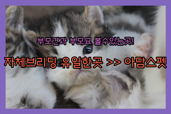88d3acb407126bd90df58075d5ba220e_1694285800_67.png