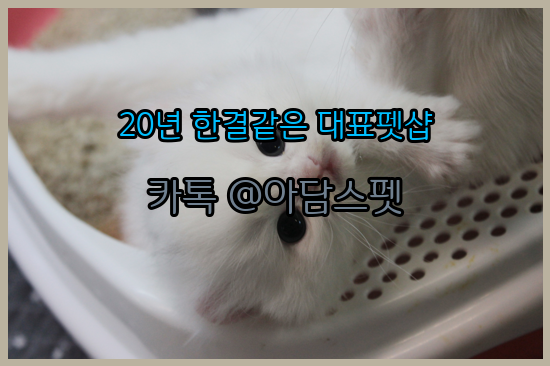 facf4158f1ebd9064aea2bb675a54bce_1694285674_4.png